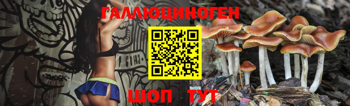 Псилоцибиновые грибы MAGIC MUSHROOMS  Вход с VPN  Асино 